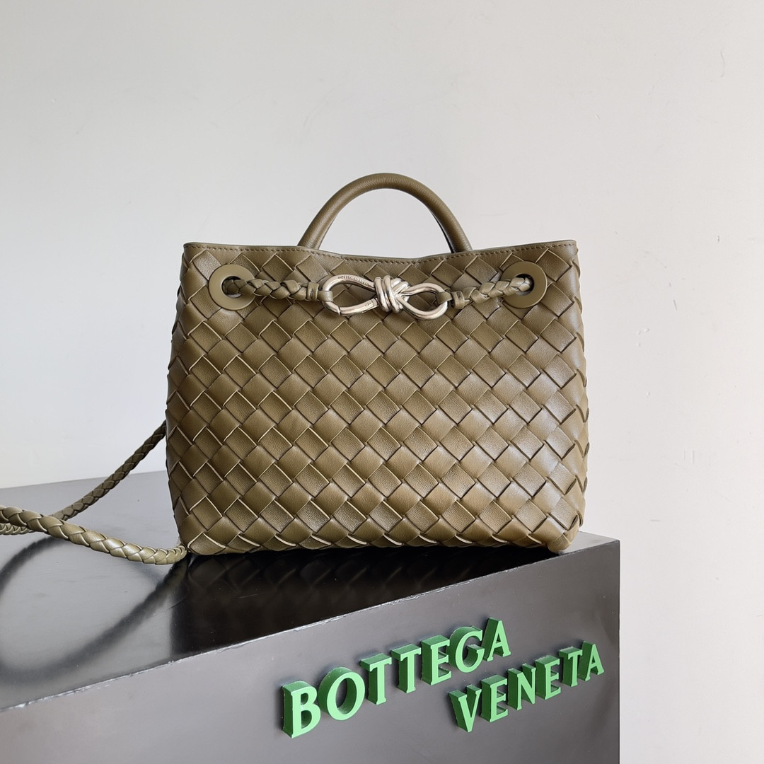 Bottega Veneta Small Andiamo 25x22x10.5cm