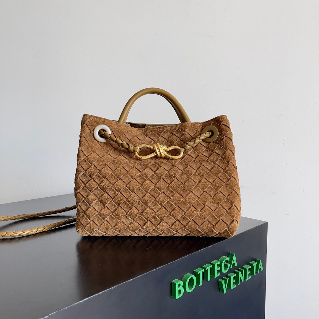 Bottega Veneta Small Andiamo 25x22x10.5cm