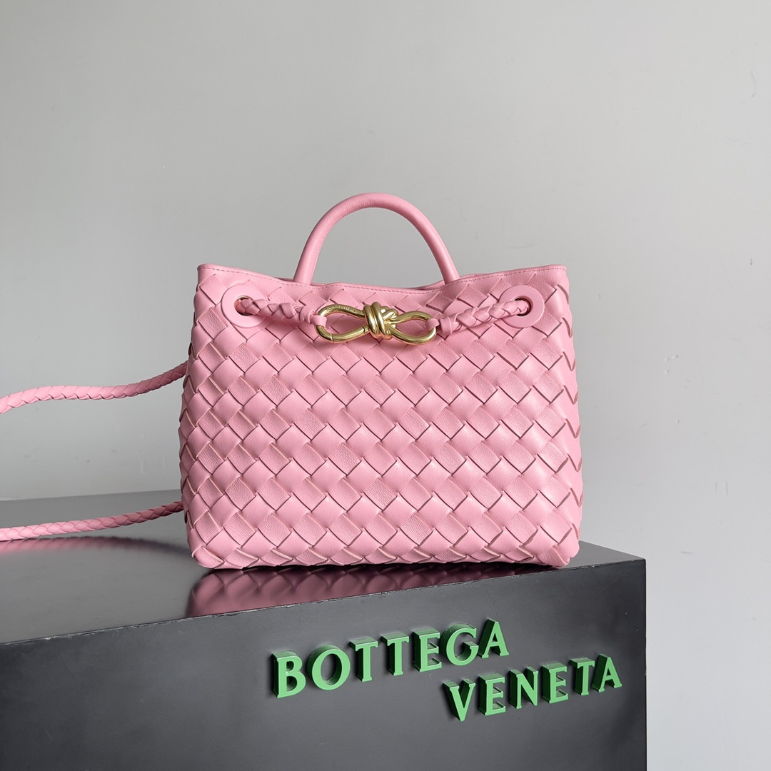 Bottega Veneta Small Andiamo 25x22x10.5cm