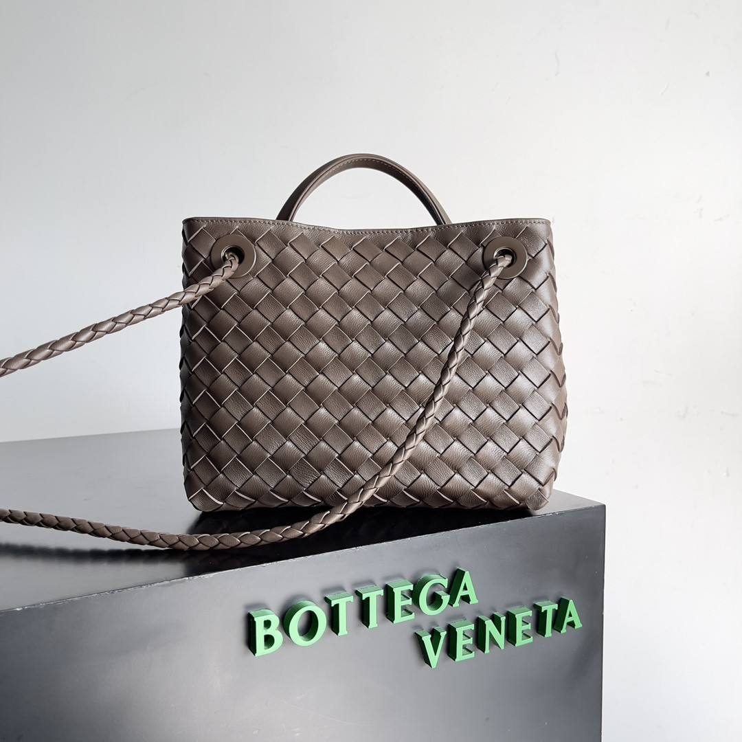 Bottega Veneta Small Andiamo 25x22x10.5cm
