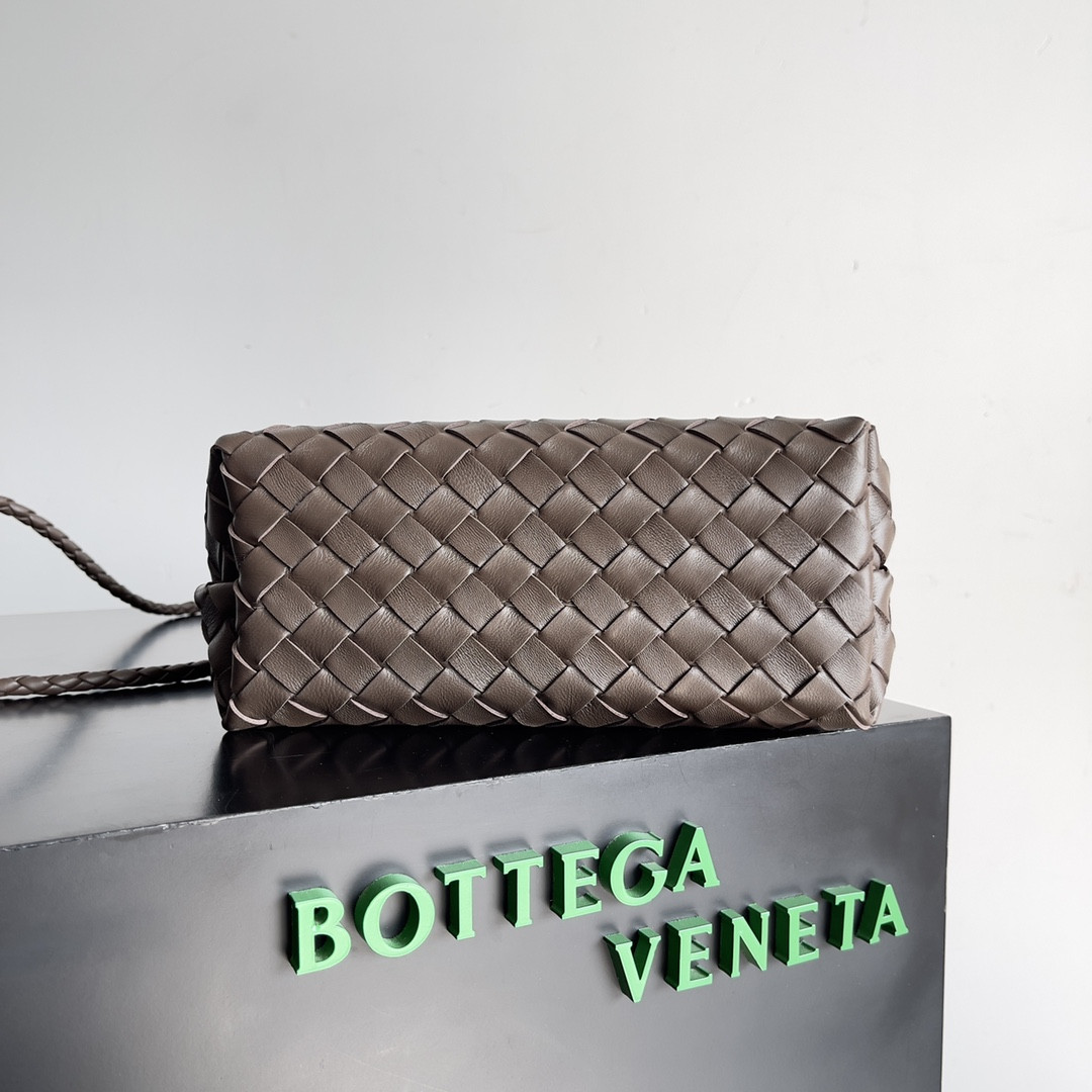 Bottega Veneta Small Andiamo 25x22x10.5cm