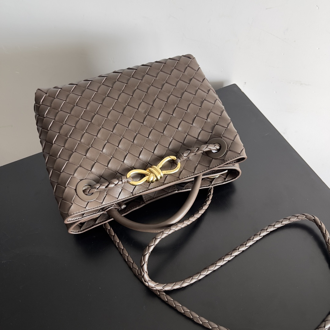 Bottega Veneta Small Andiamo 25x22x10.5cm