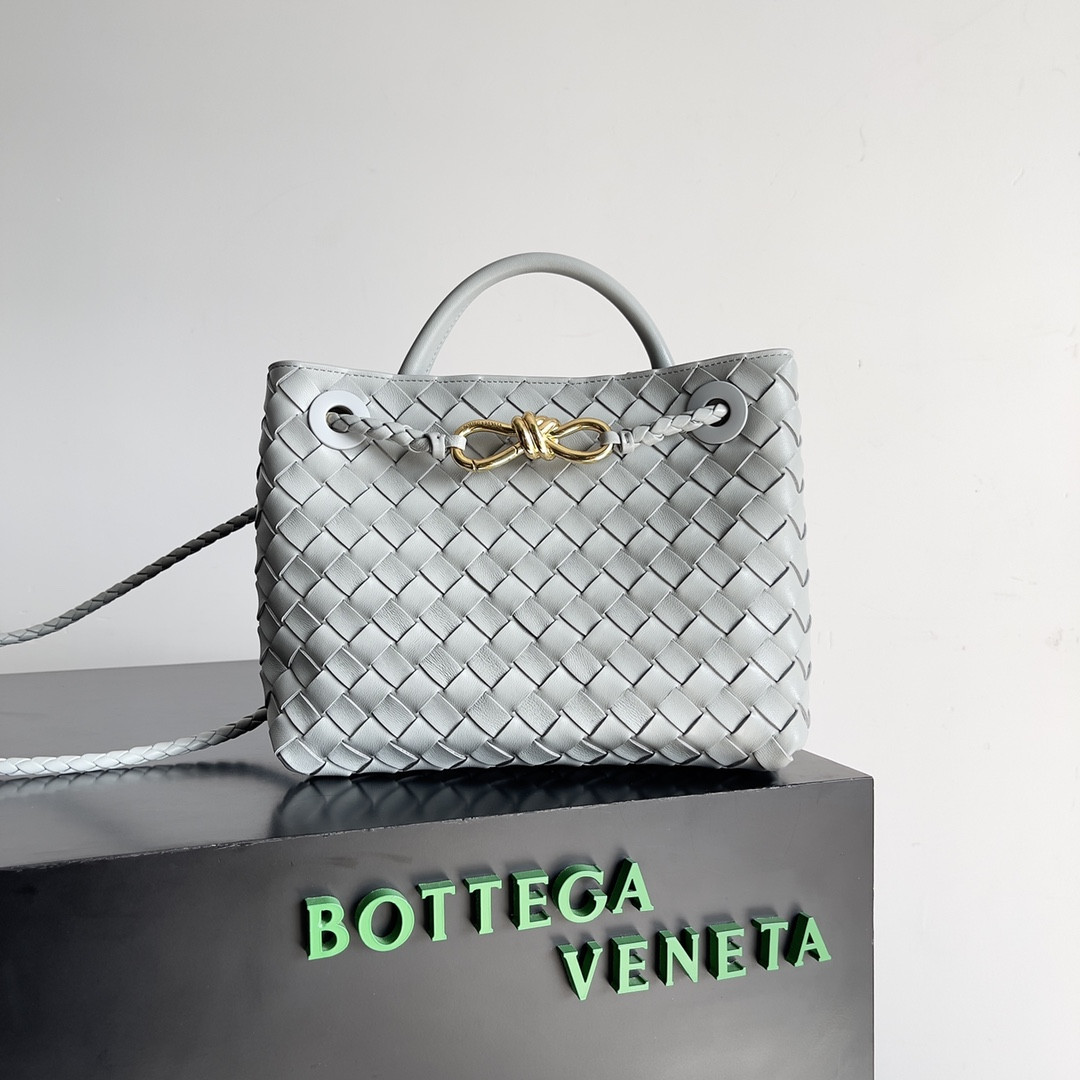 Bottega Veneta Small Andiamo 25x22x10.5cm