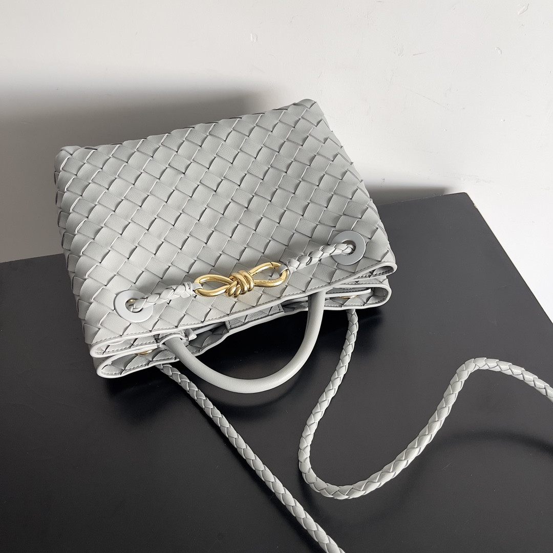 Bottega Veneta Small Andiamo 25x22x10.5cm