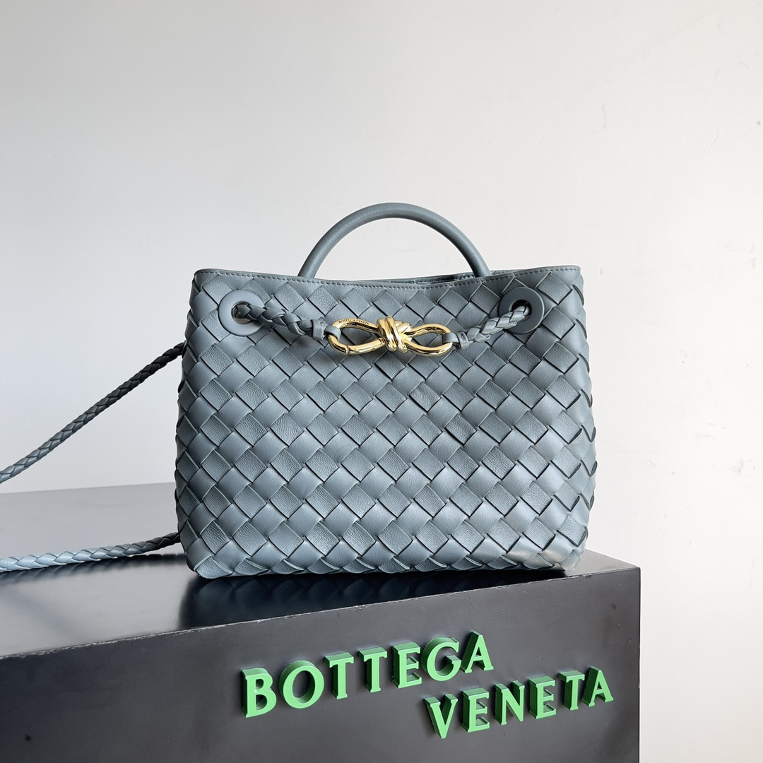 Bottega Veneta Small Andiamo 25x22x10.5cm