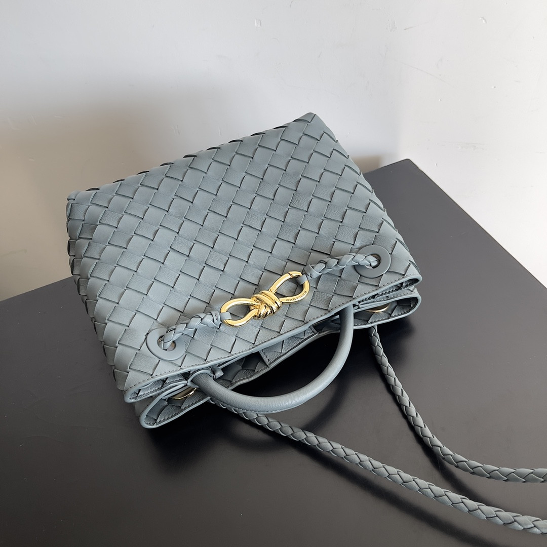 Bottega Veneta Small Andiamo 25x22x10.5cm
