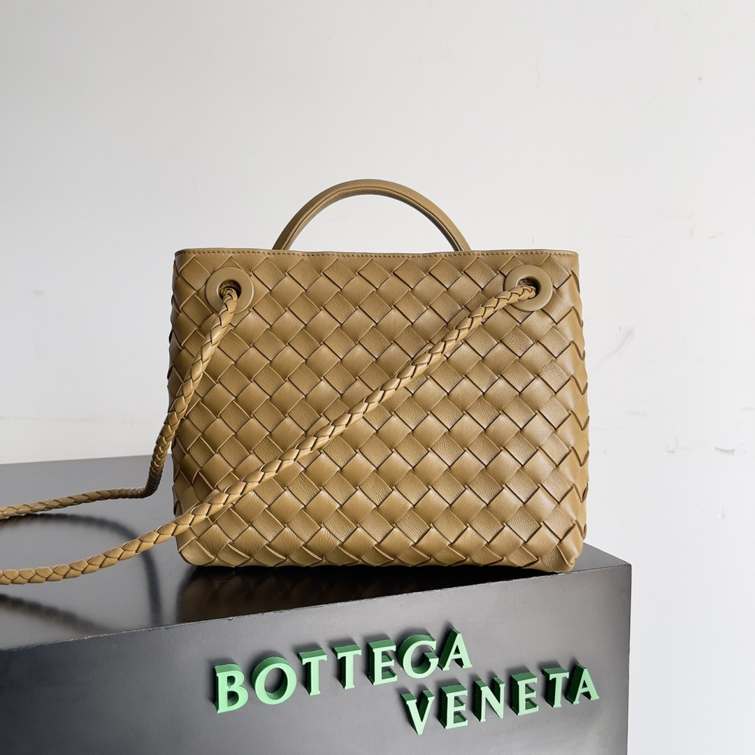 Bottega Veneta Small Andiamo 25x22x10.5cm
