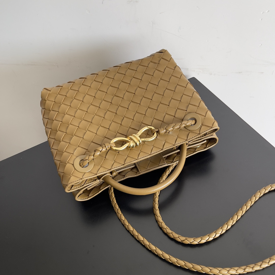 Bottega Veneta Small Andiamo 25x22x10.5cm
