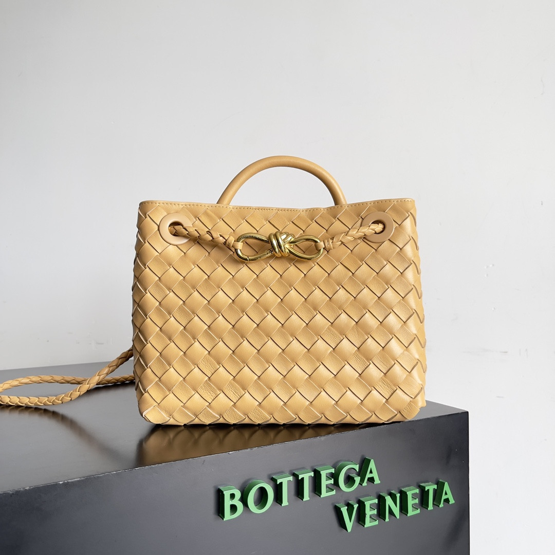 Bottega Veneta Small Andiamo 25x22x10.5cm