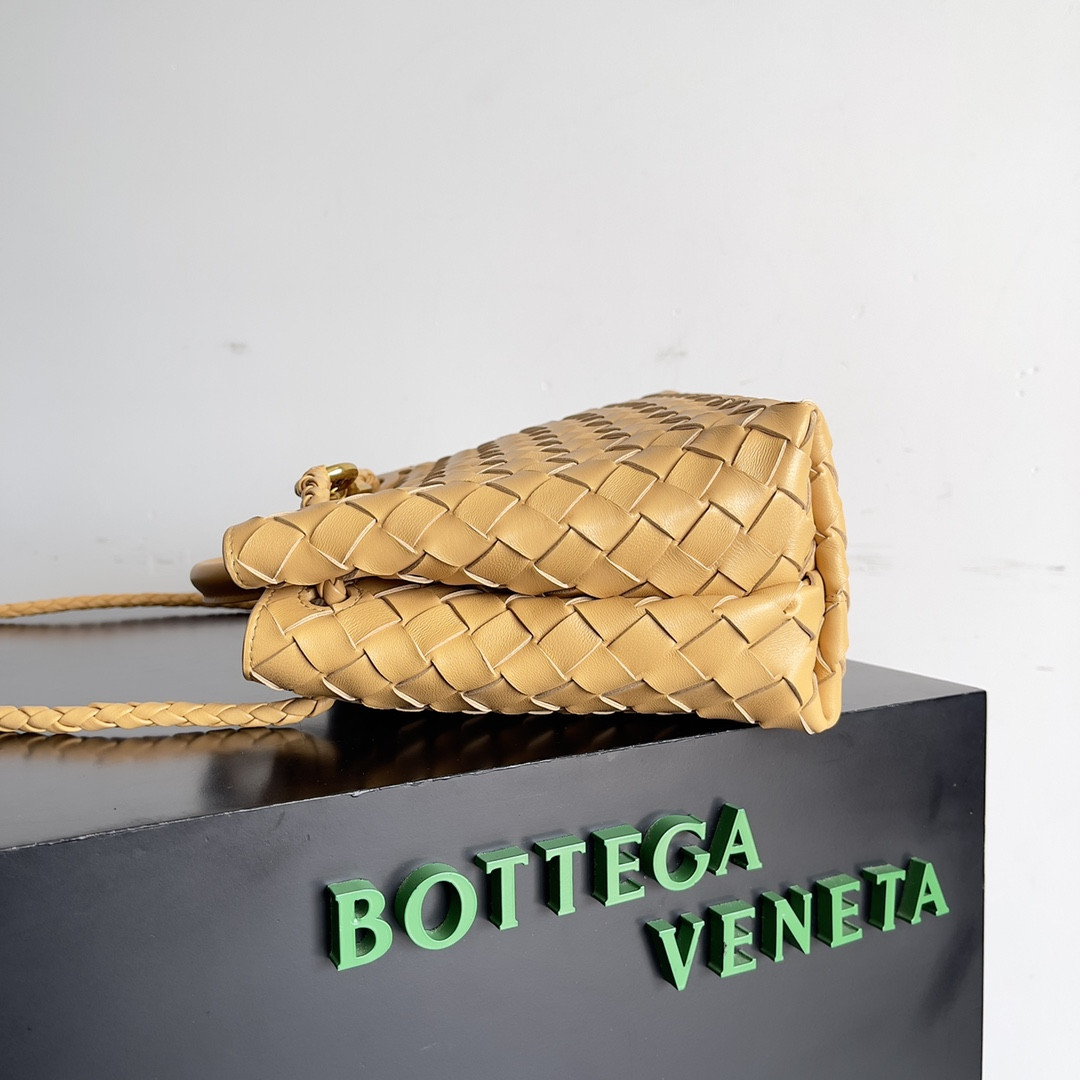 Bottega Veneta Small Andiamo 25x22x10.5cm