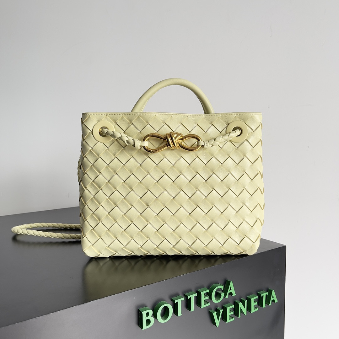 Bottega Veneta Small Andiamo 25x22x10.5cm