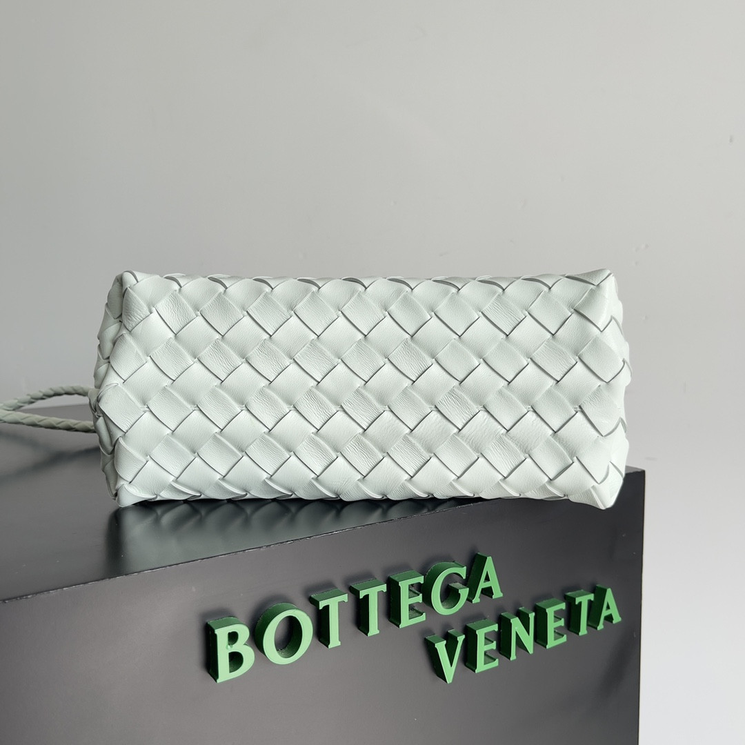 Bottega Veneta Small Andiamo 25x22x10.5cm