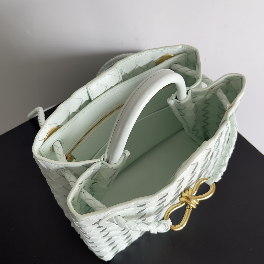 Bottega Veneta Small Andiamo 25x22x10.5cm