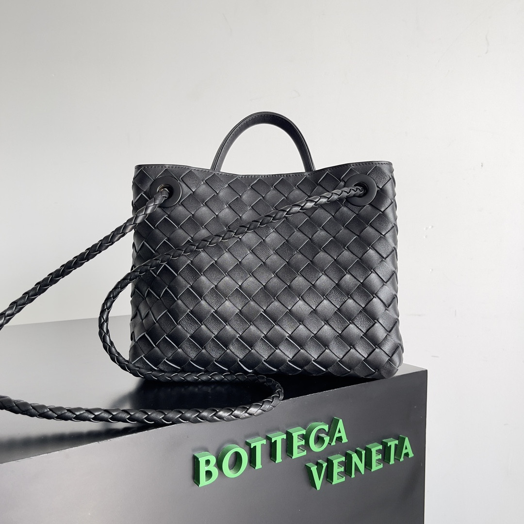 Bottega Veneta Small Andiamo 25x22x10.5cm