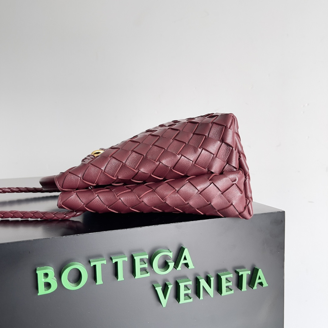 Bottega Veneta Small Andiamo 25x22x10.5cm
