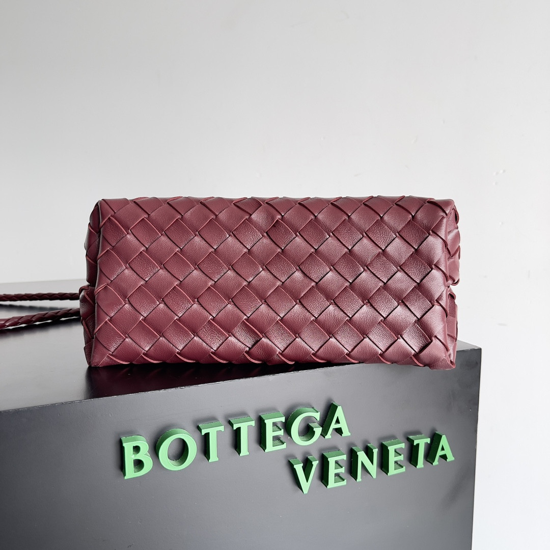 Bottega Veneta Small Andiamo 25x22x10.5cm