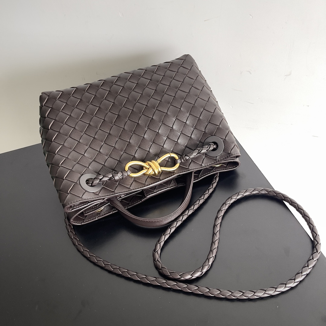 Bottega Veneta Small Andiamo 25x22x10.5cm