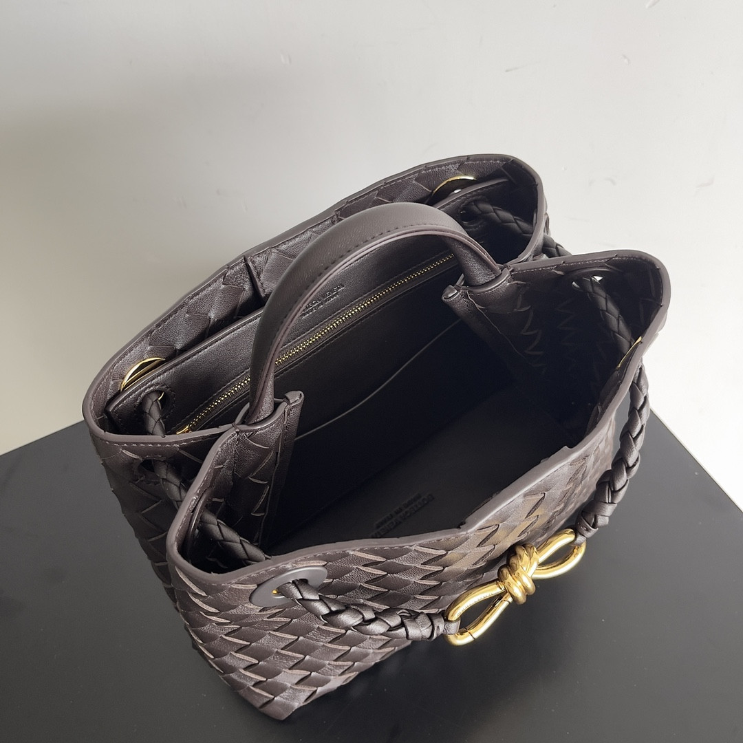 Bottega Veneta Small Andiamo 25x22x10.5cm