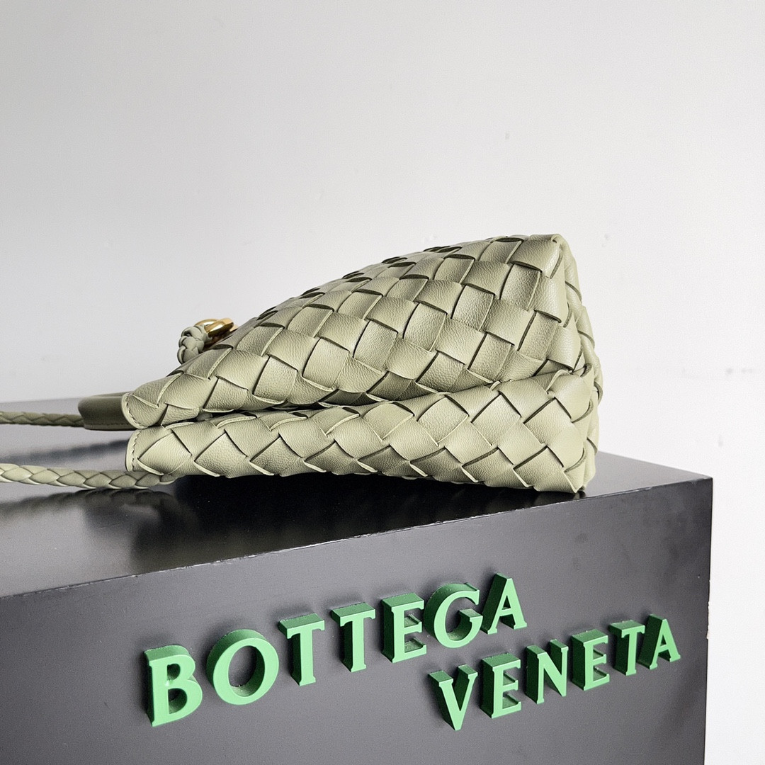 Bottega Veneta Small Andiamo 25x22x10.5cm