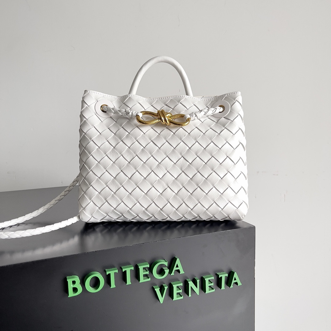 Bottega Veneta Small Andiamo 25x22x10.5cm