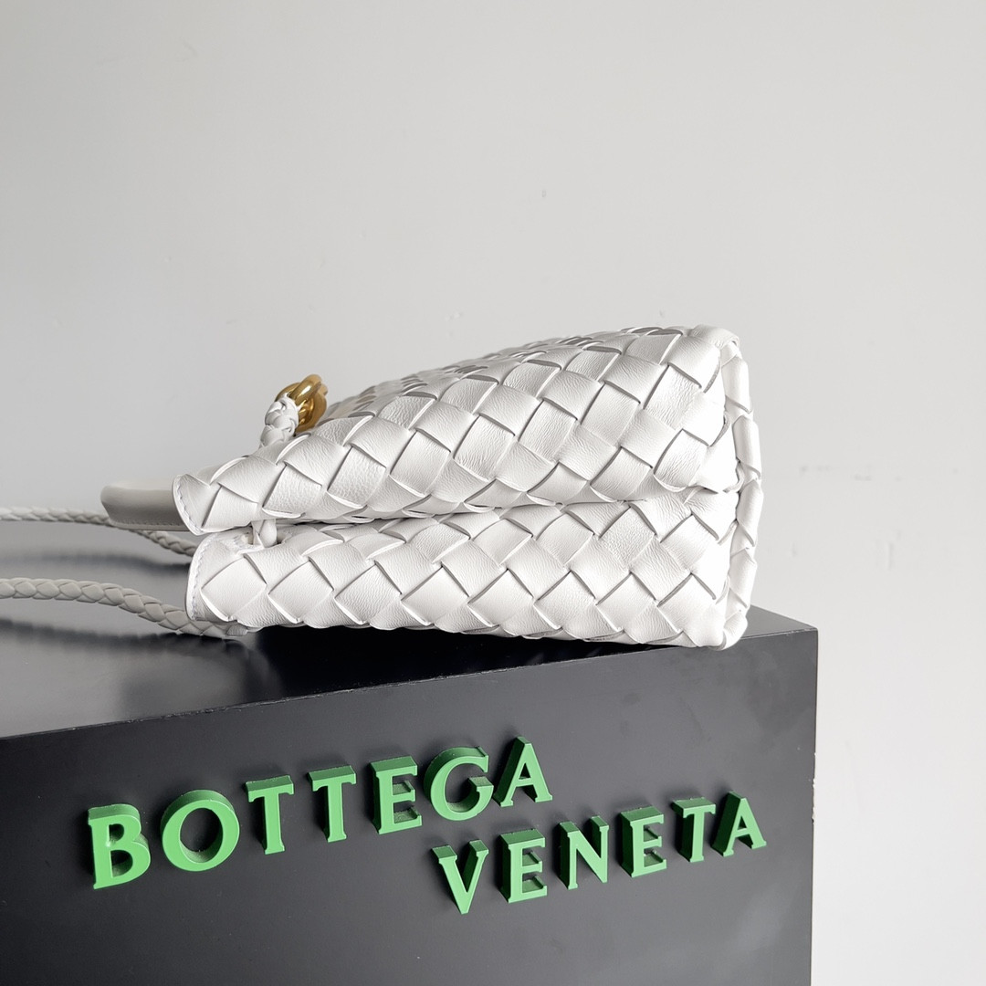 Bottega Veneta Small Andiamo 25x22x10.5cm