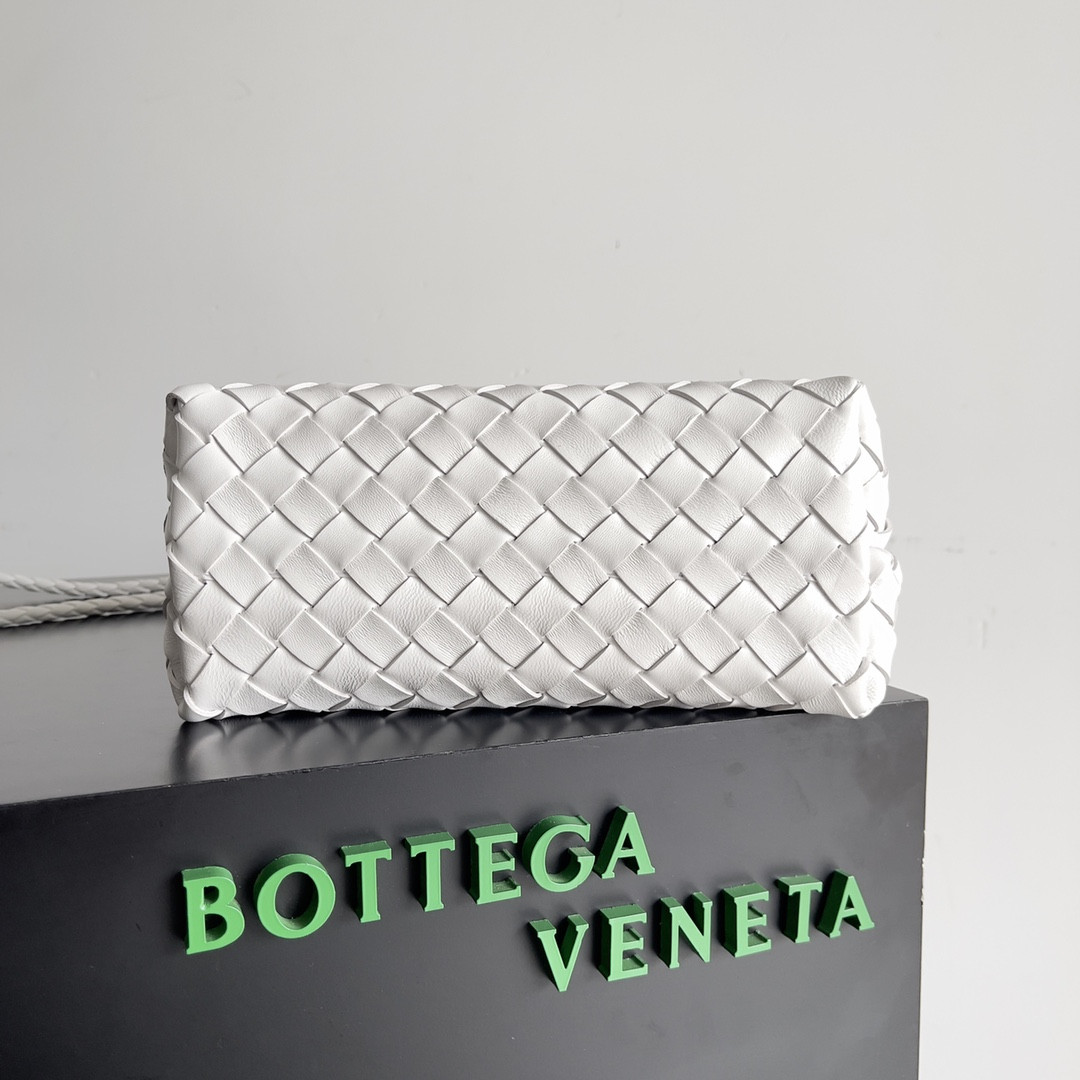 Bottega Veneta Small Andiamo 25x22x10.5cm