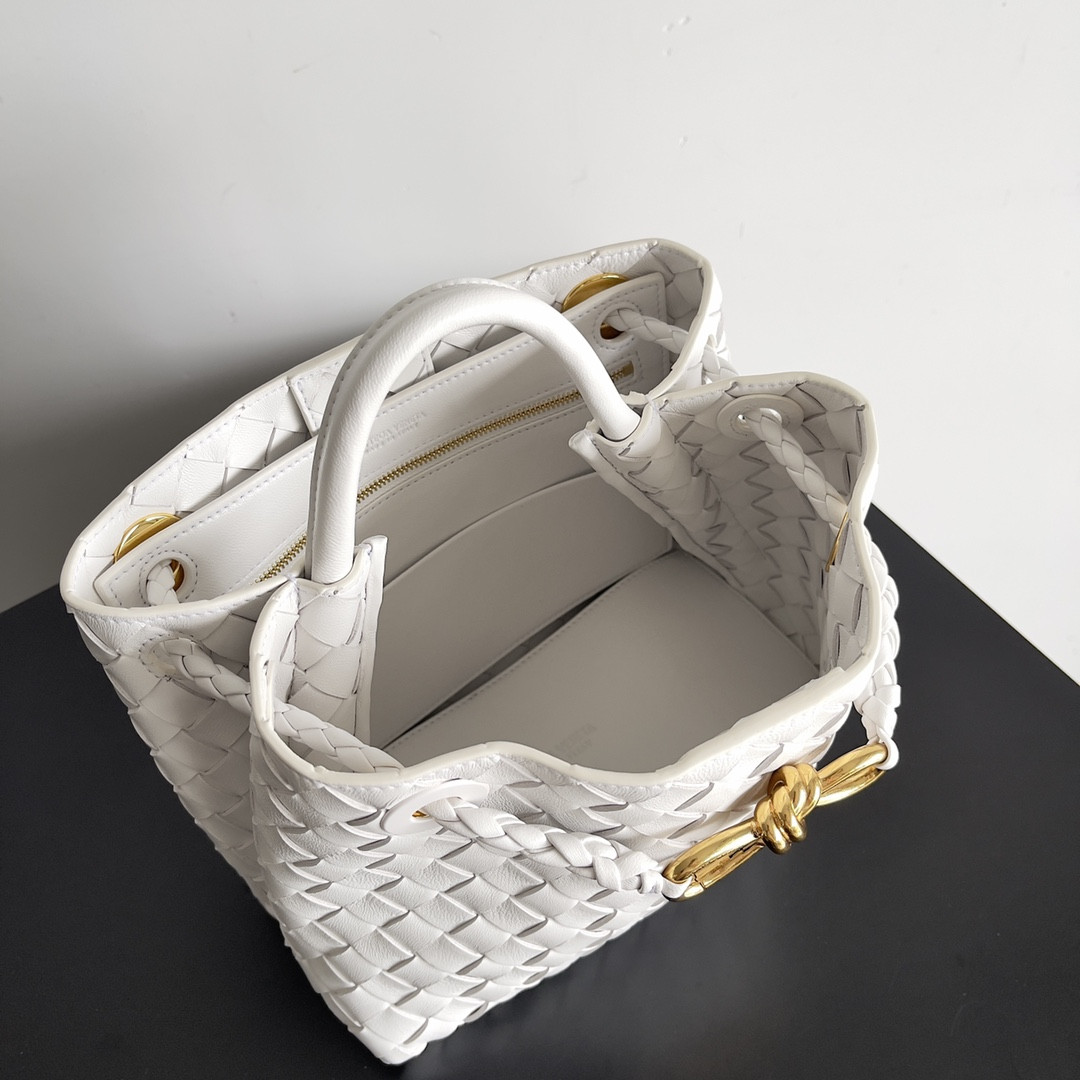 Bottega Veneta Small Andiamo 25x22x10.5cm