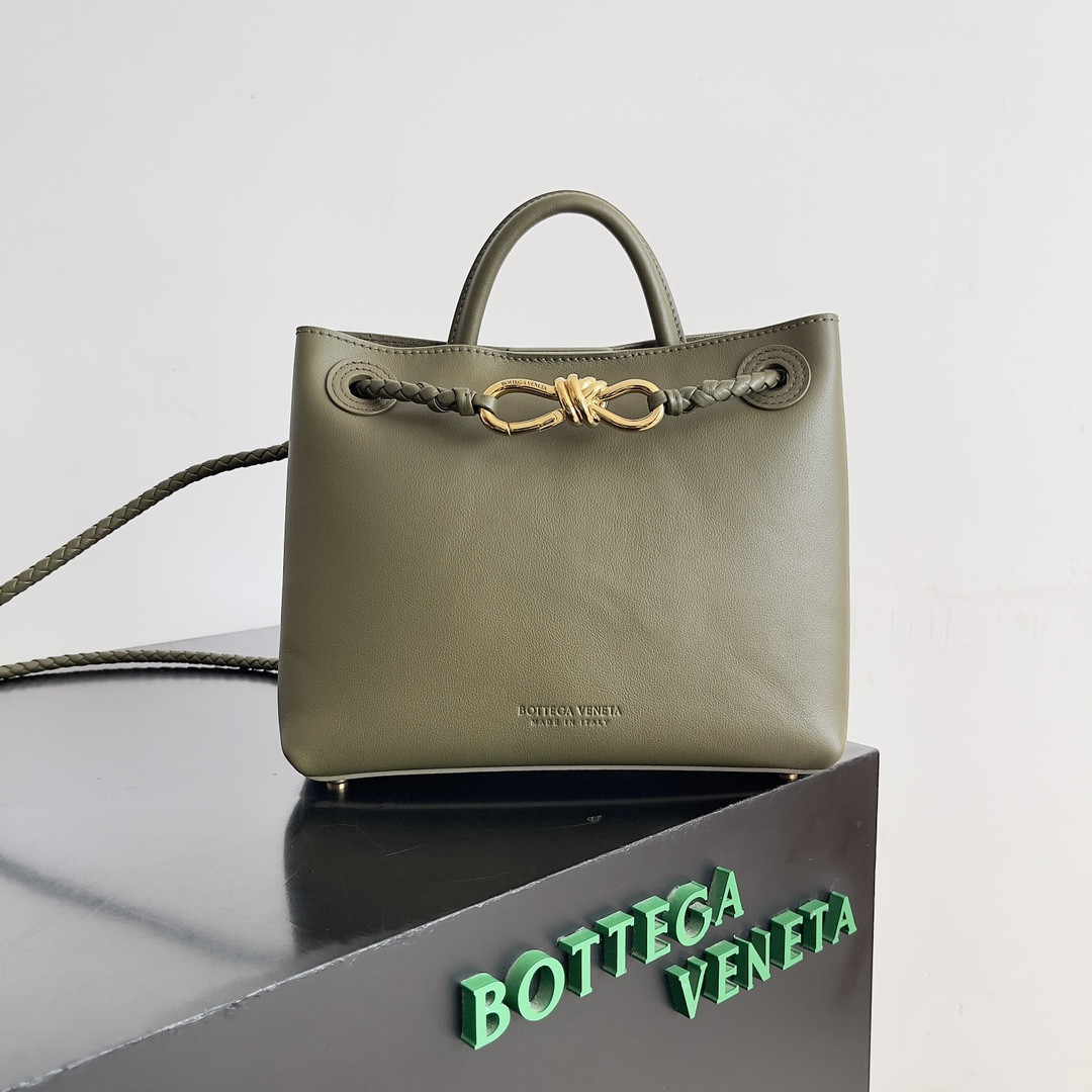 Bottega Veneta Small Andiamo 25x22x10.5cm