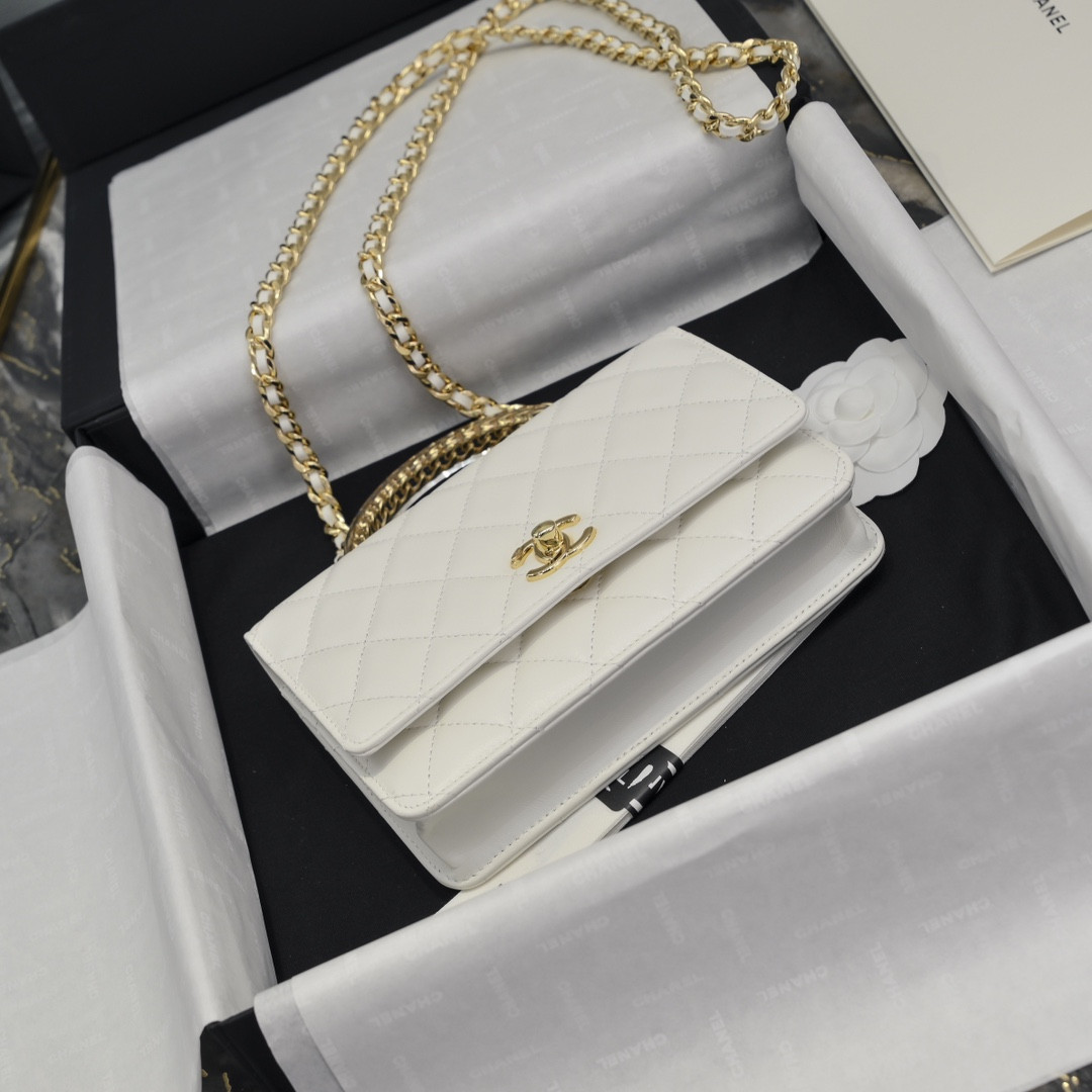 Chanel Clutch With Chain 19cm