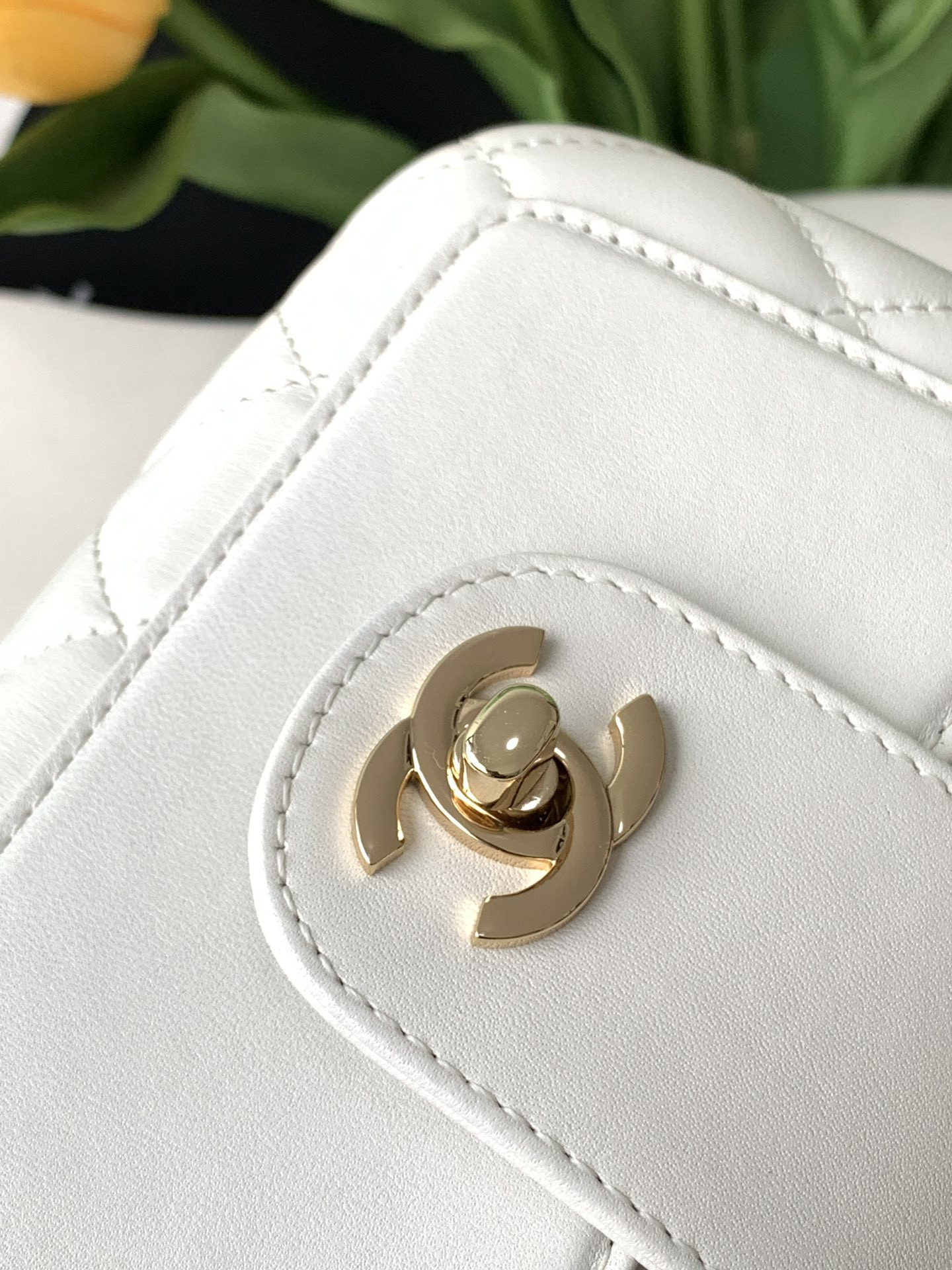 Chanel Clip Bag 13x18x5cm