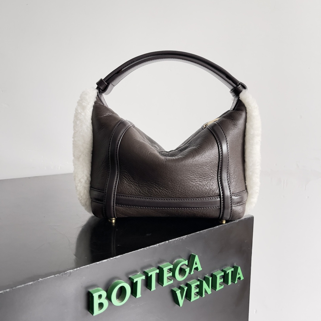 Bottega Veneta Mini Wallace 20x13x9.5cm