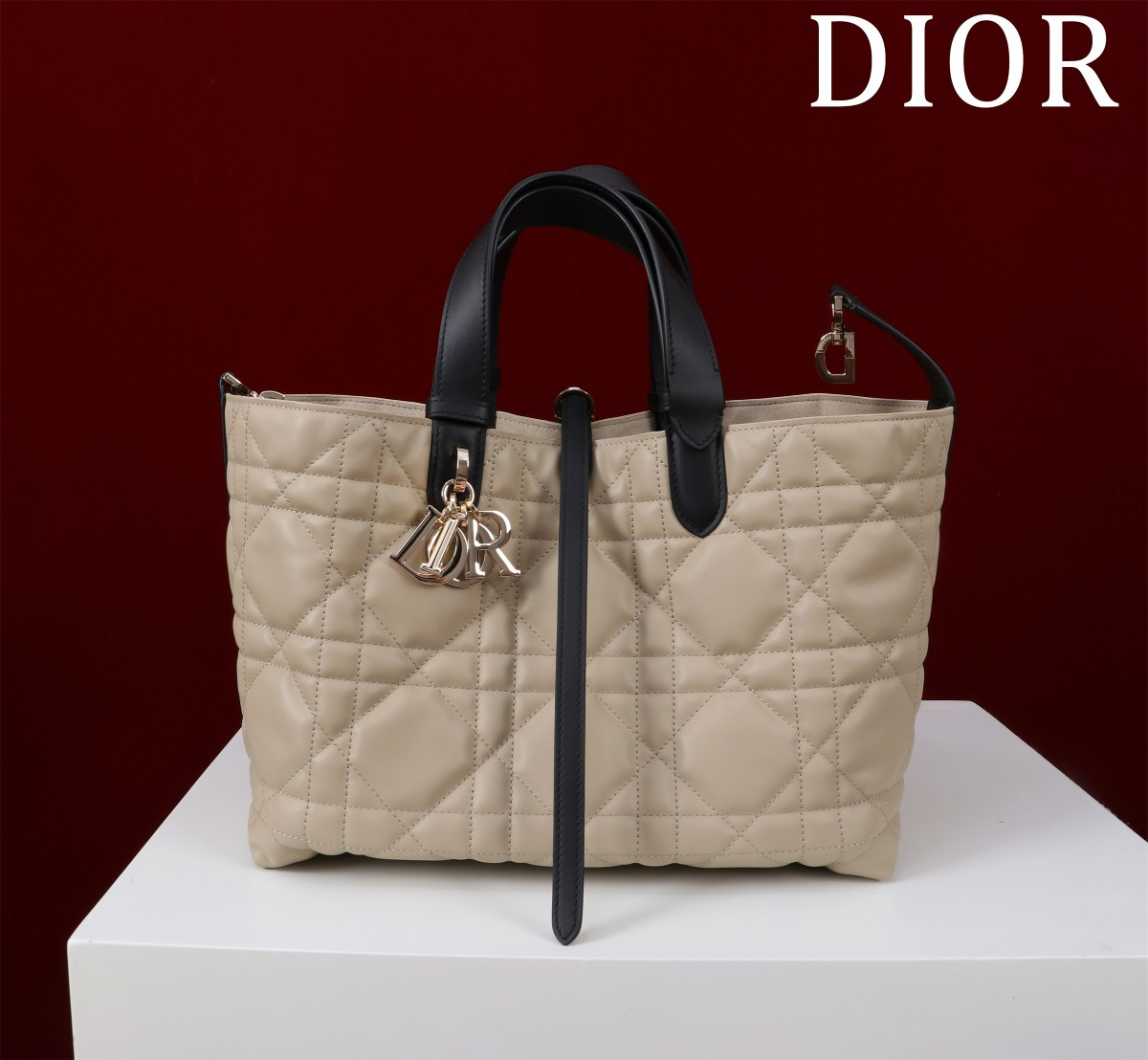 DIOR Toujours Medium 28.5X19X21CM