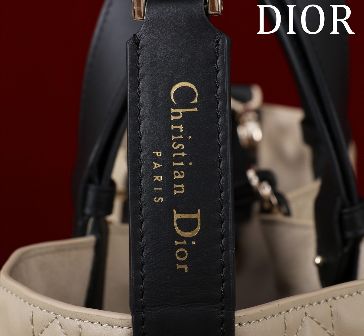 DIOR Toujours Medium 28.5X19X21CM