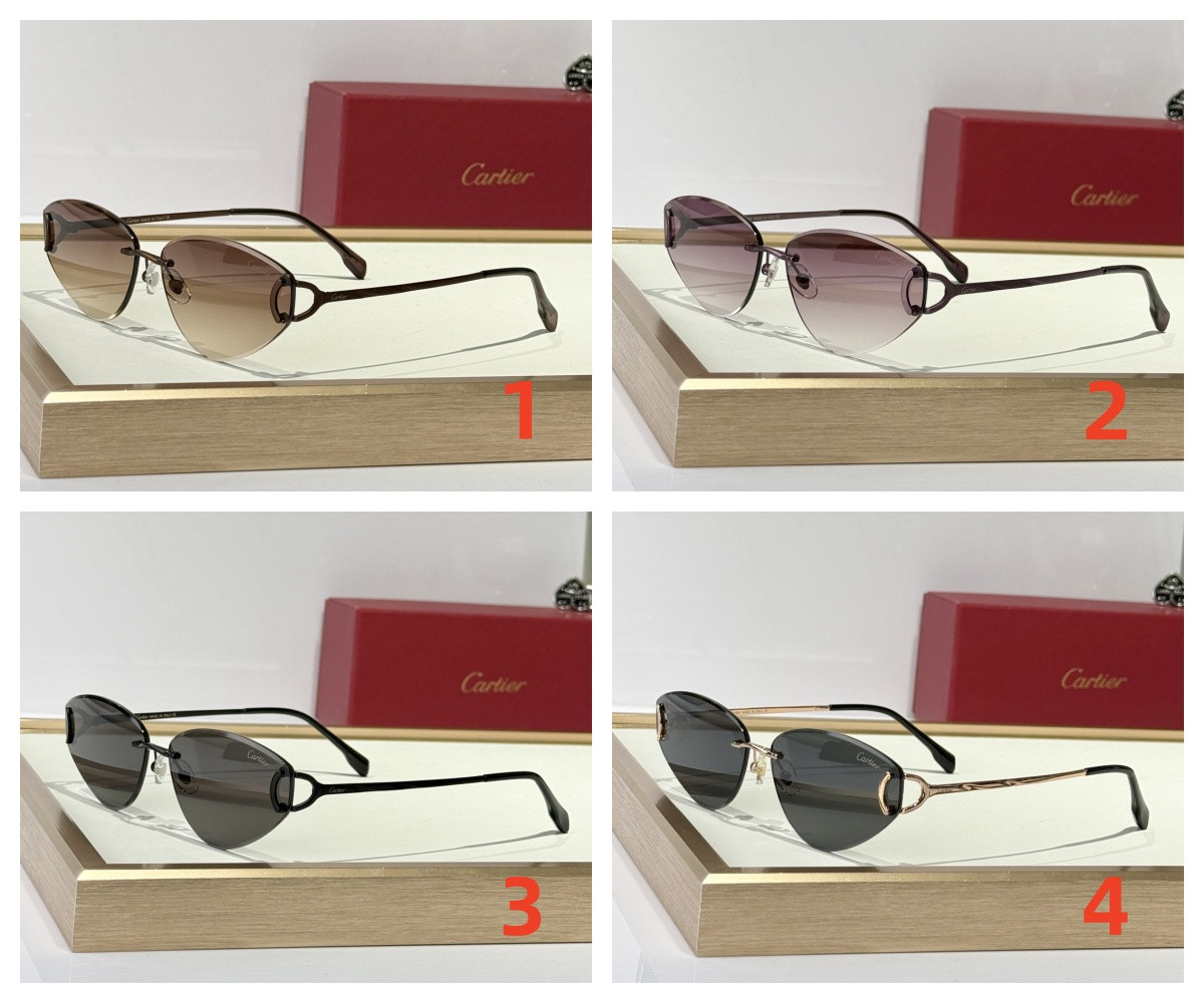 Cartier Glasses CT0334S 65-15 146