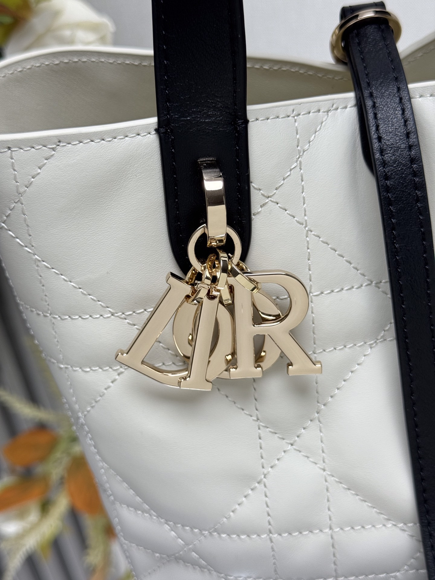 Dior Small Dior Toujours Vertical Bag 18.5x18.5x12cm