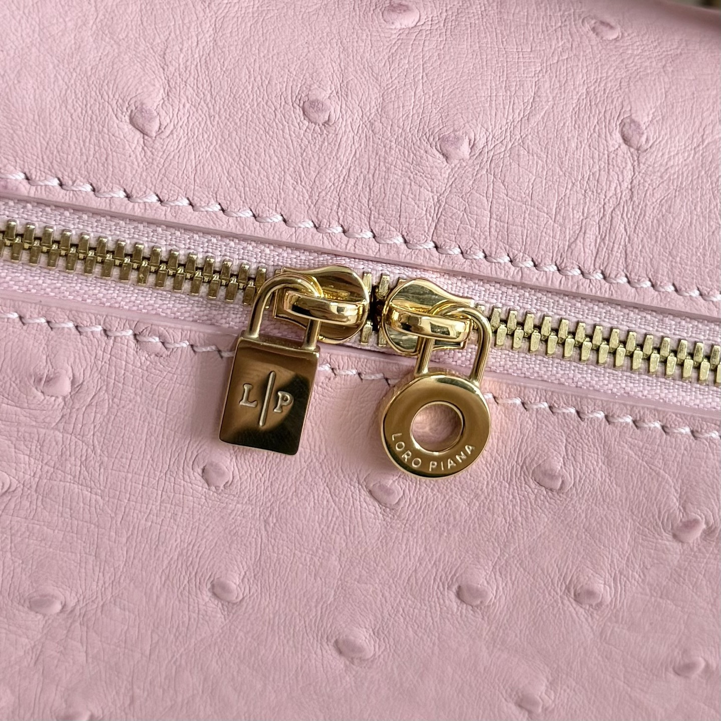 Loro Piana Extra Pocket L19 Ostrich-grained Leather 11 x 19 x 6.5 cm