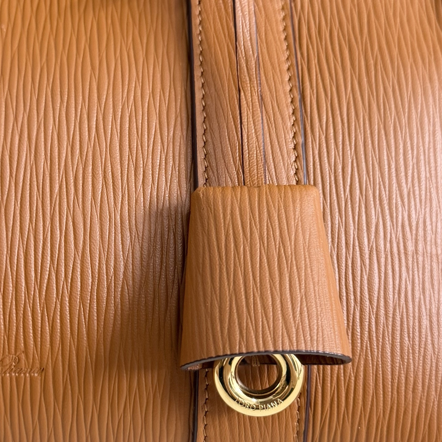 Loro Piana Loom L25 Calfskin 25x18x12.5cm