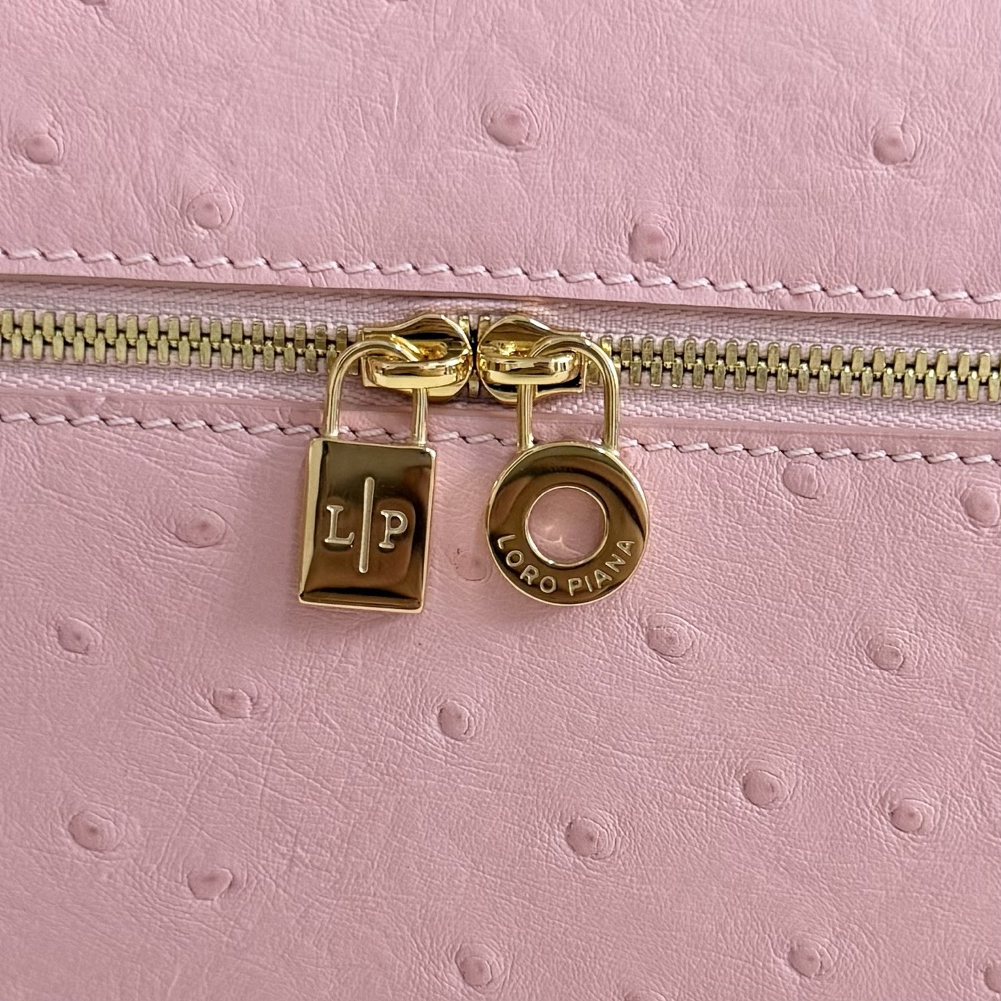 Loro Piana Extra Pocket L27 Ostrich-grained Leather 16x27x10cm