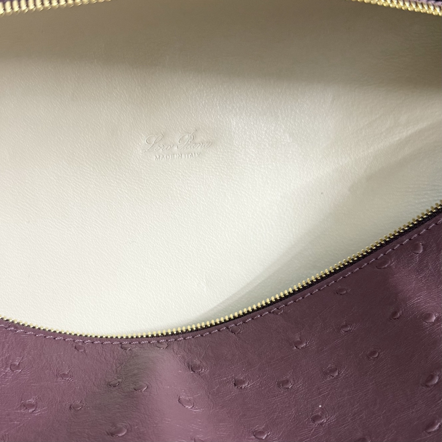 Loro Piana Extra Pocket L27 Ostrich-grained Leather 16x27x10cm