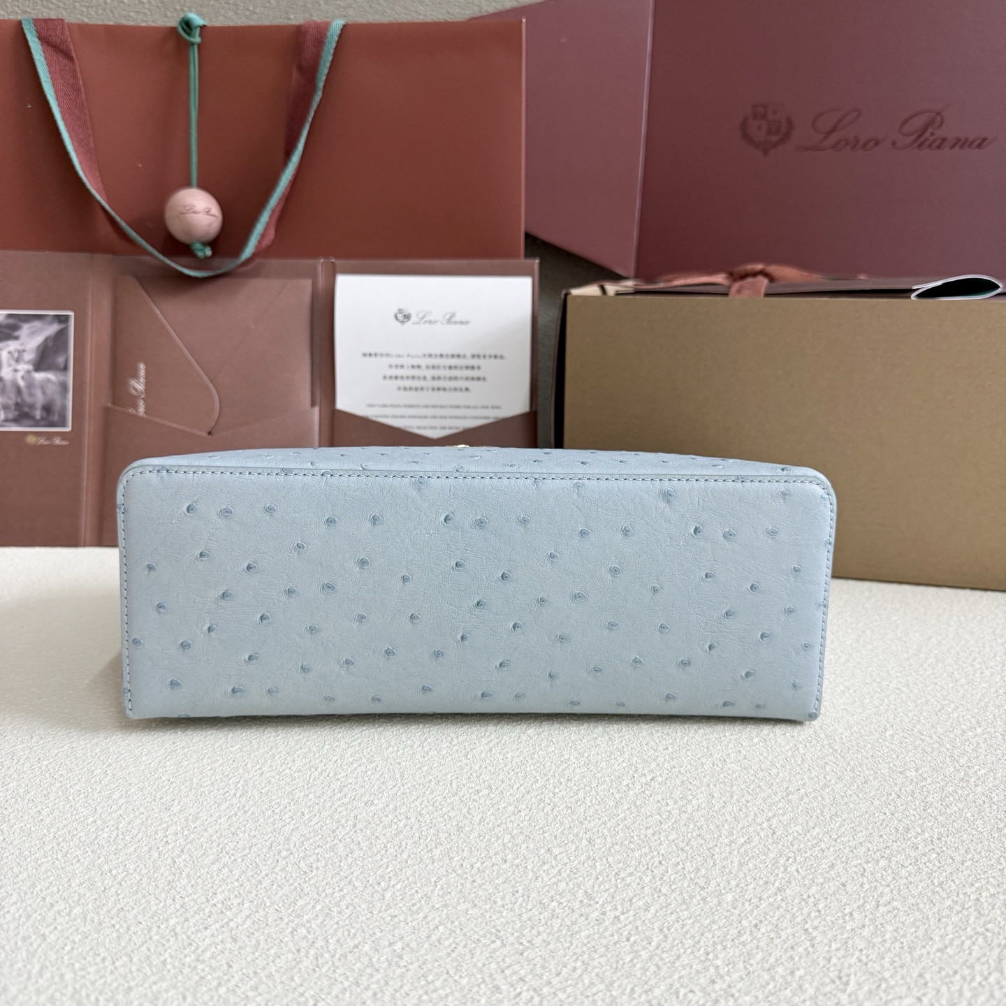 Loro Piana Extra Pocket L27 Ostrich-grained Leather 16x27x10cm