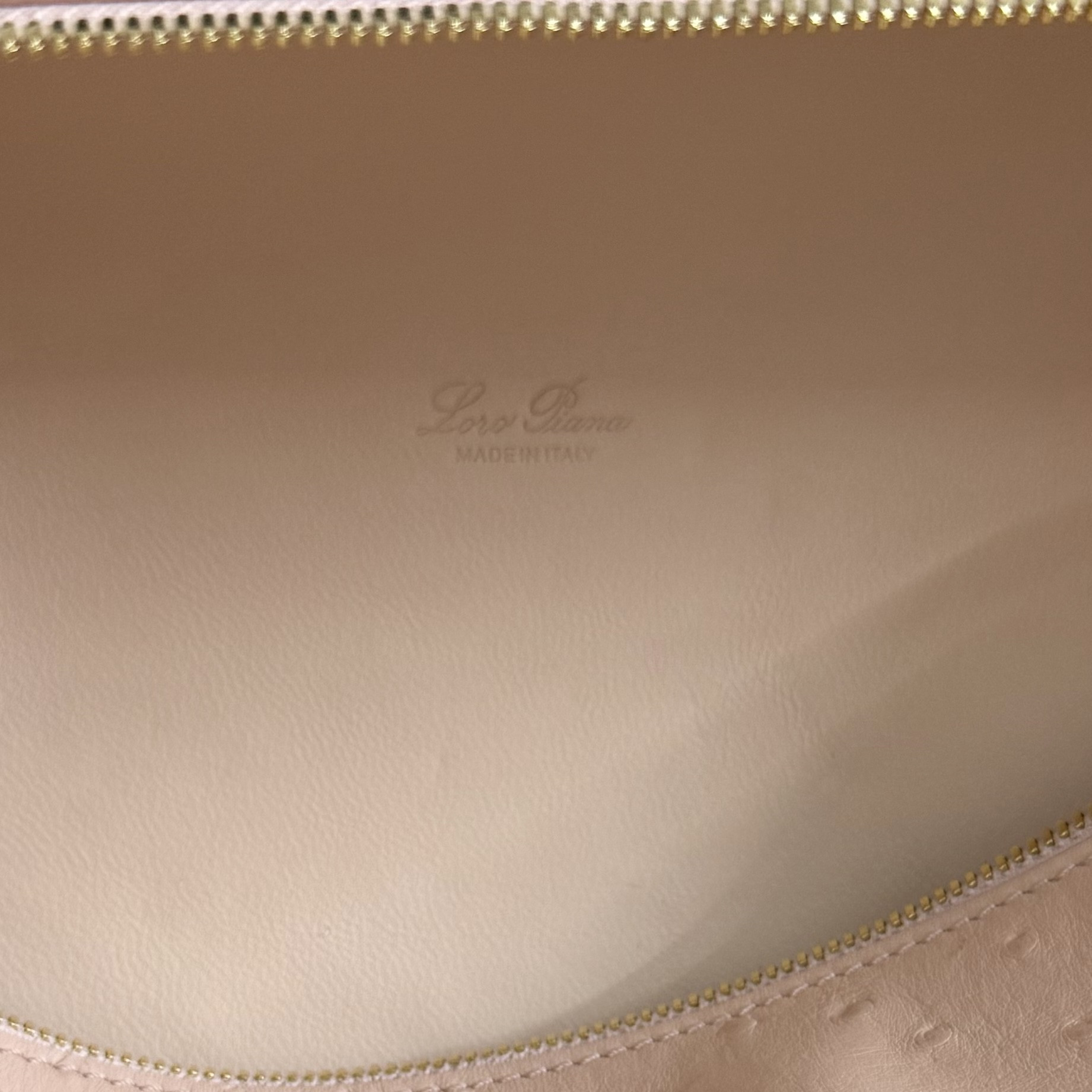 Loro Piana Extra Pocket L27 Ostrich-grained Leather 16x27x10cm