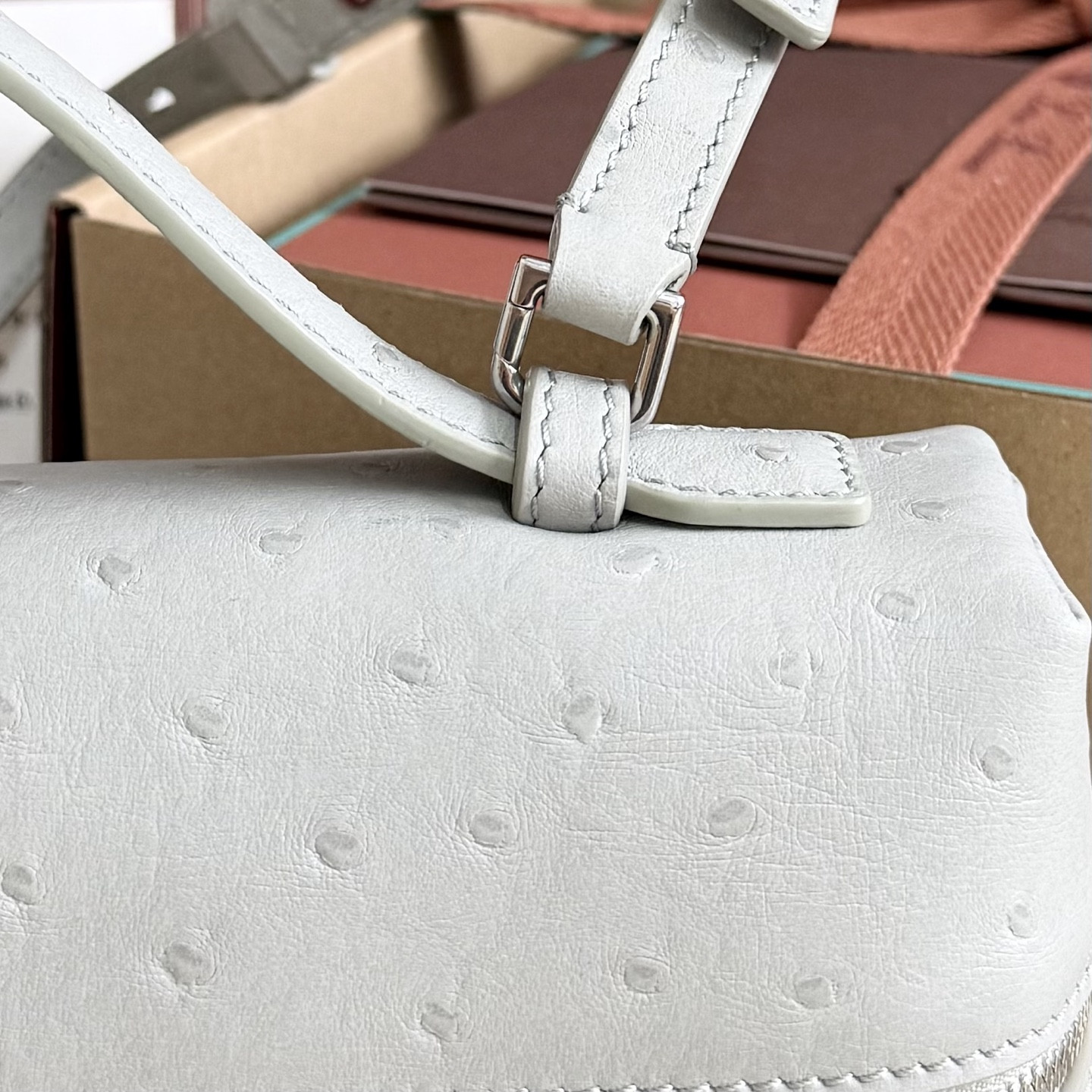 Loro Piana Extra Pocket L27 Ostrich-grained Leather 16x27x10cm