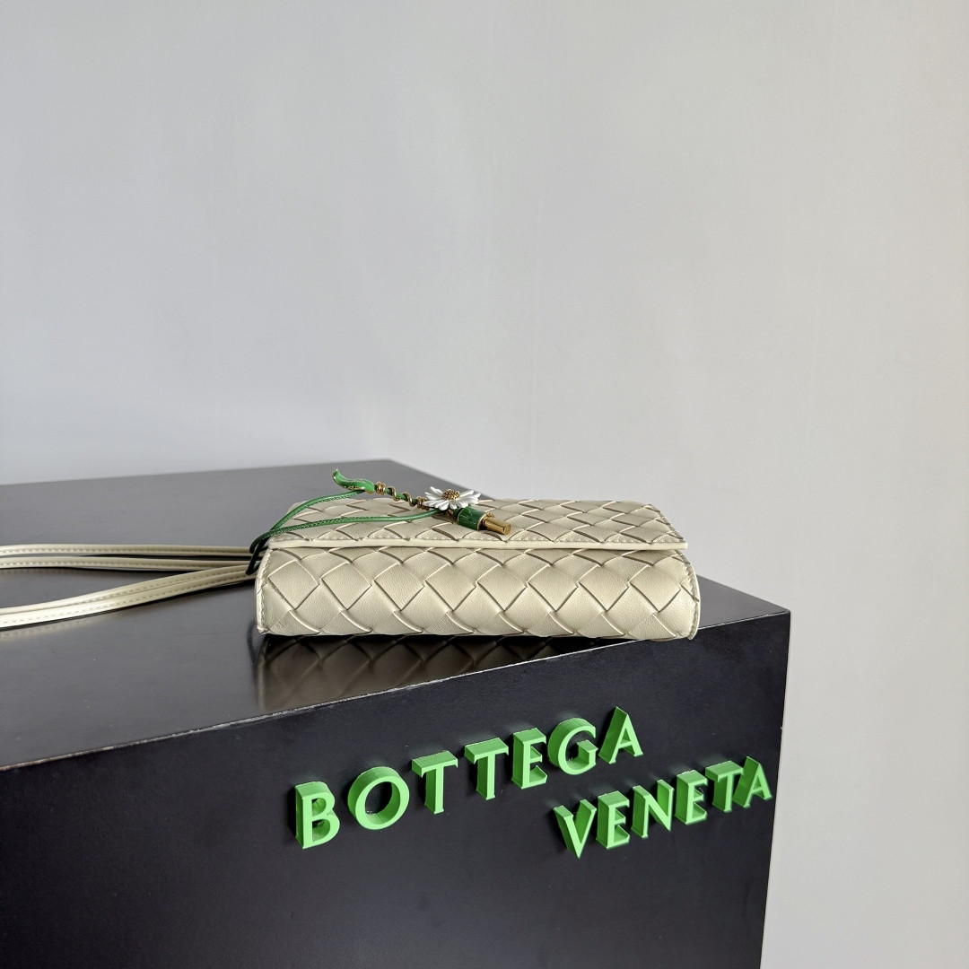 Bottega Veneta Andiamo Daisy Pouch 12.6x19x2cm