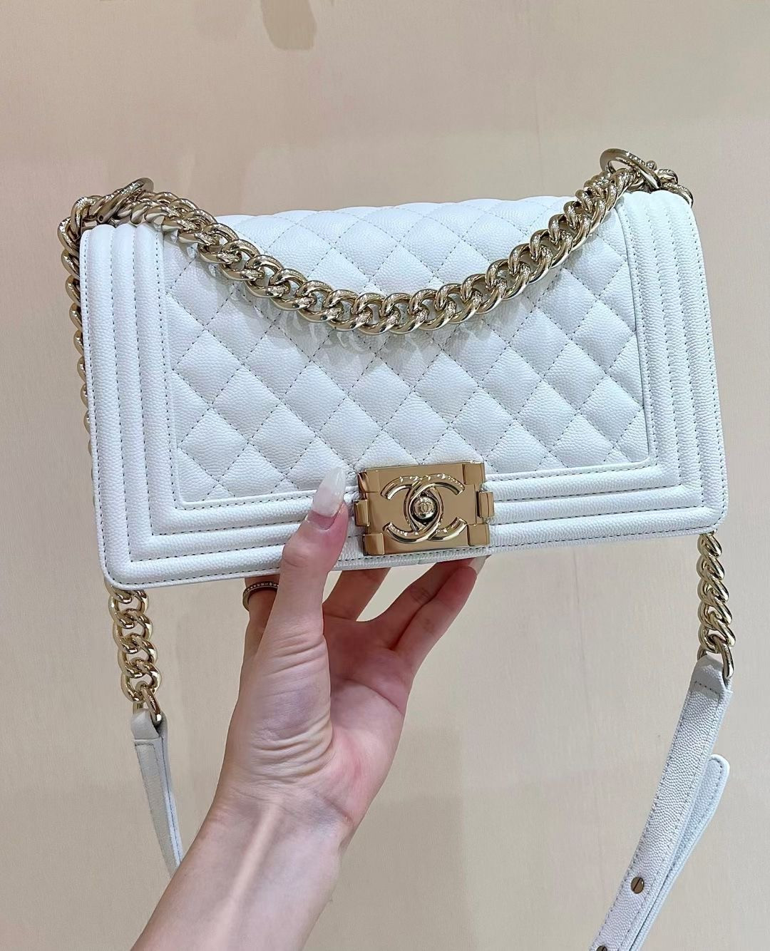 Chanel Leroy medium bag